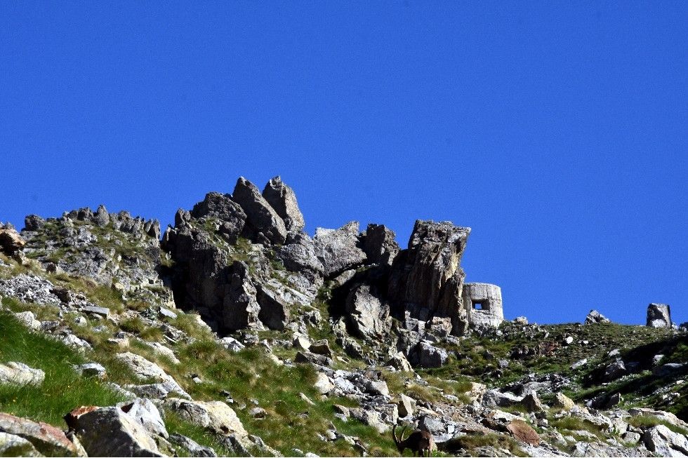 LA MADONE A OUVERT UNE FENETRE DANS LE CIEL (1)