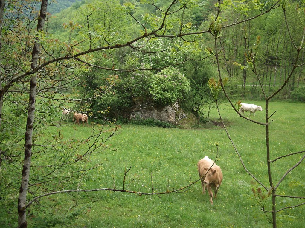 Album - le-doubs1