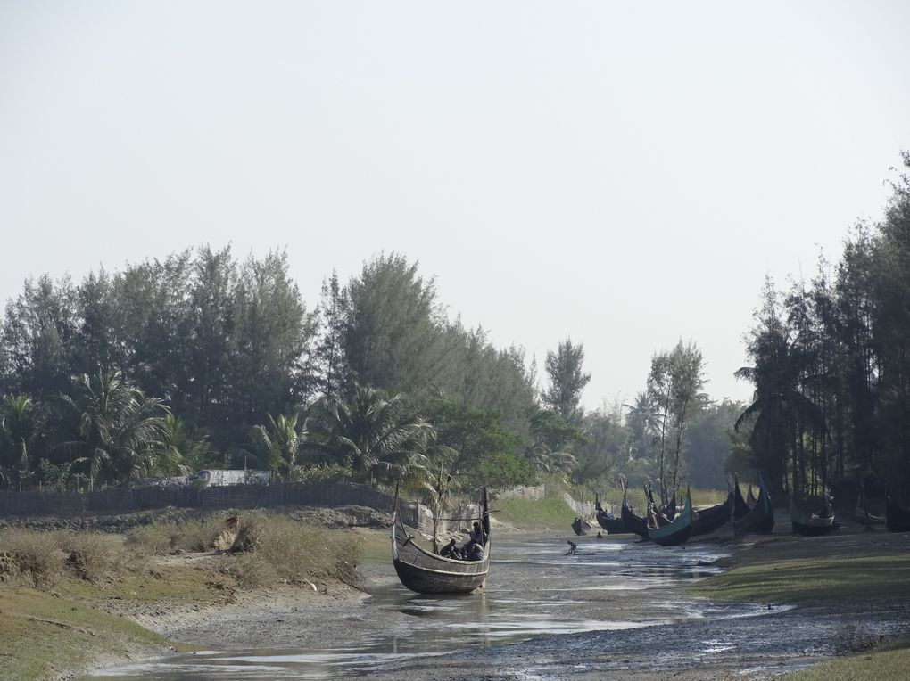 Photos de Cox's Bazar, plage la plus longue du monde (120Km)!