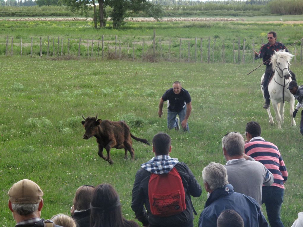 Photos prises par nos amis de Thônex.