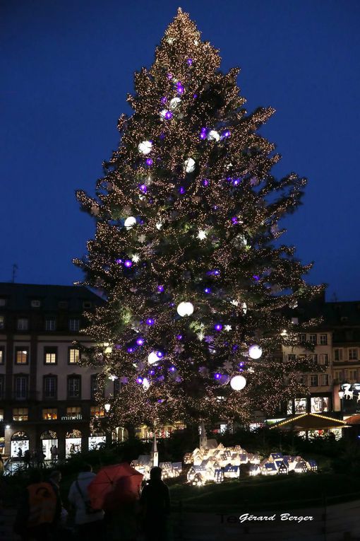 quelques photos de Strasbourg