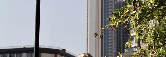 La Carpe d’Or
