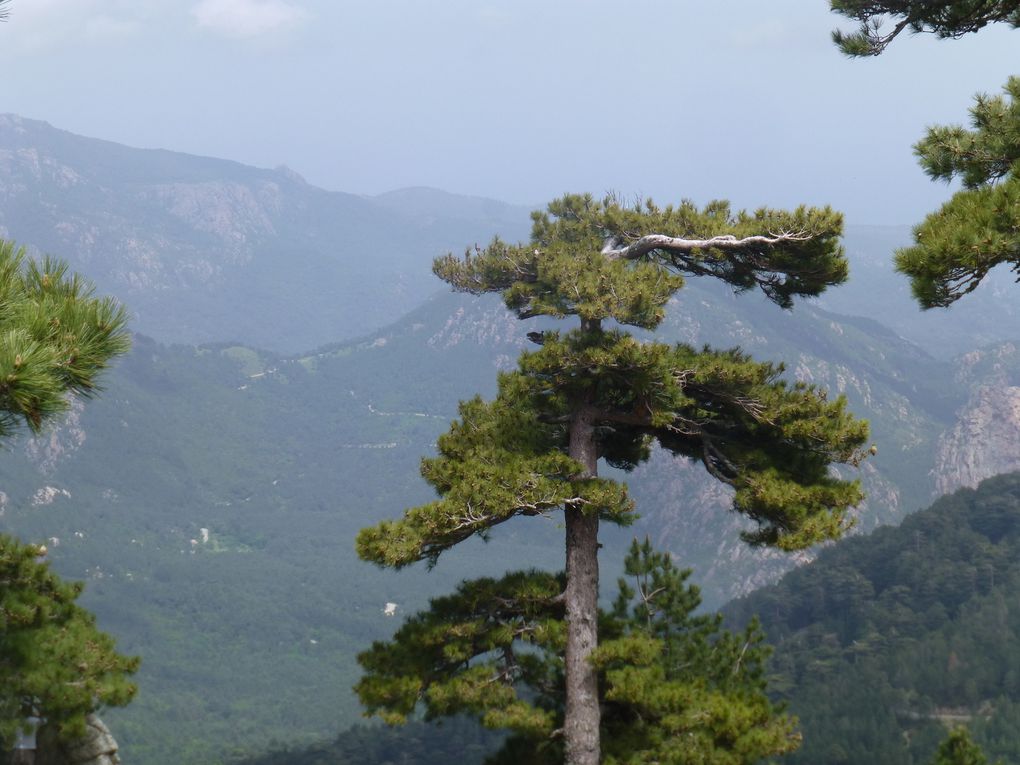 Comme une immense vague, les nuages ont recouvert la montagne d'hier. Toute la journée nous marcherons dans un environnement forestier avec un paysage très minéral. La beauté brute de la roche et les éclairages différents sont réellement un pur bonheur visuel. On ne souhaite qu'une chose, mémoriser à jamais ces moments. Belles images du trou de La Punta Tafanatu, on peut y accéder mais il faut un baudrier avec longe, il y a une via ferrata. Dernière nuit en refuge, dernières images dans nos duvets...