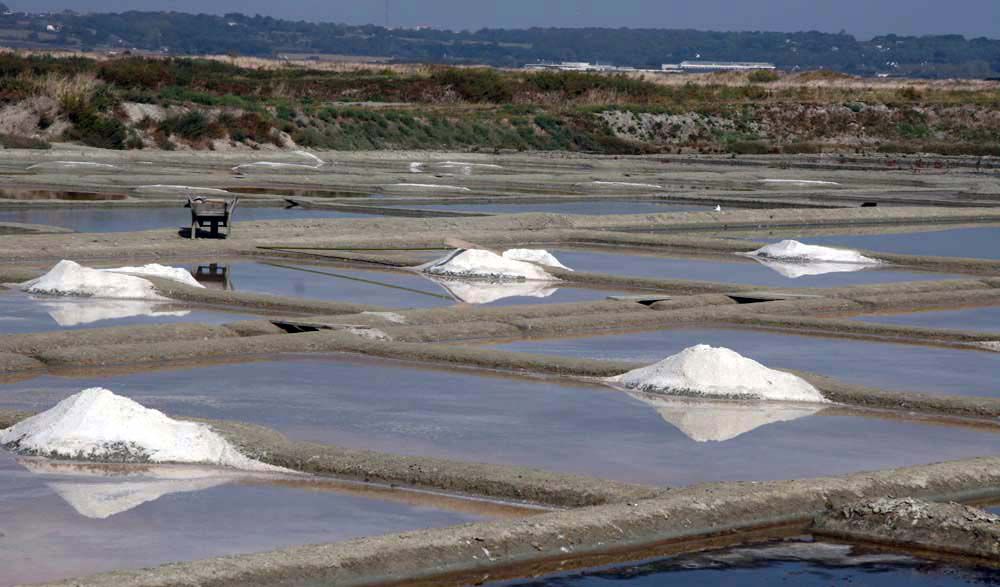 Album - Les Marais-salants de Guerande