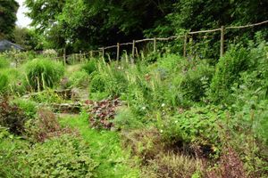 Promenade au jardin : le talus