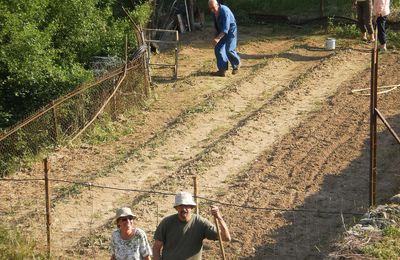 Du mouvement chez les jardiniers