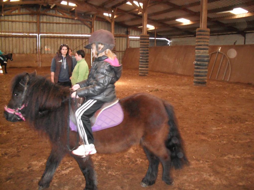 "La Traversée du Grand Canyon"

Sortie : "Equitation au Domaine d'Epona"
Sortie : "Les Chercheurs d'Oeufs aux Jardins de Cybèle"
Kermesse avec le Club PréAdos
Bricolages & Jeux...