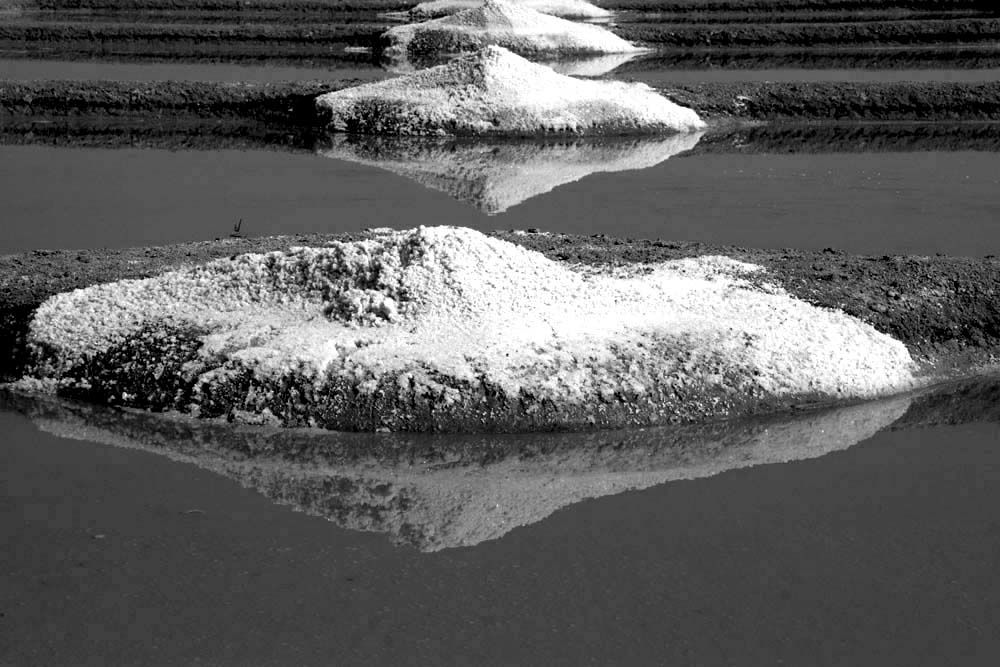 Album - Les Marais-salants de Guerande en noir et blanc