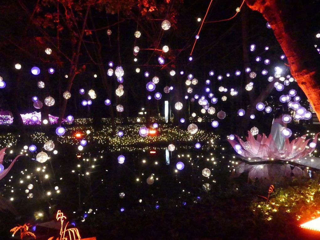 NaSatta Light Festival 2025 (2)