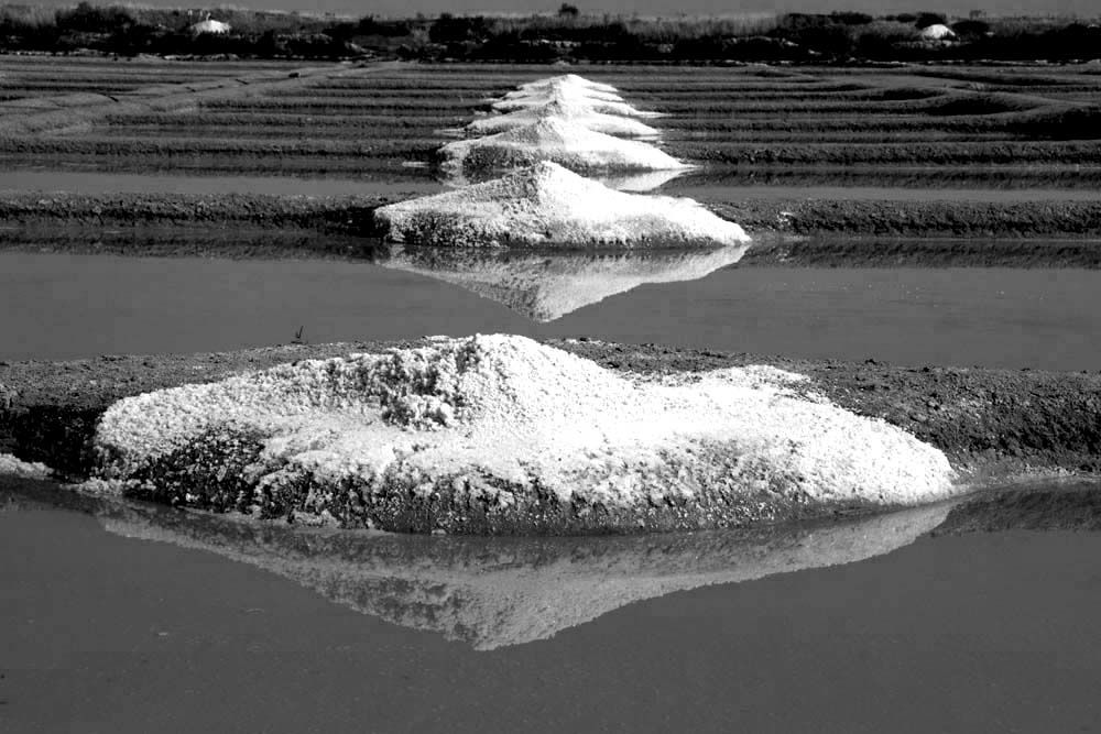 Album - Les Marais-salants de Guerande en noir et blanc