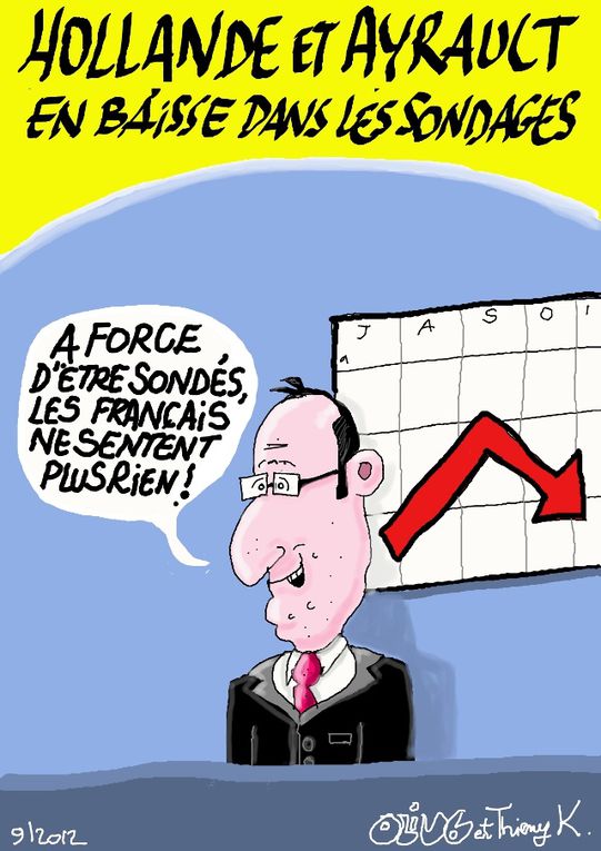 Mes dessins de presse de l'année 2012