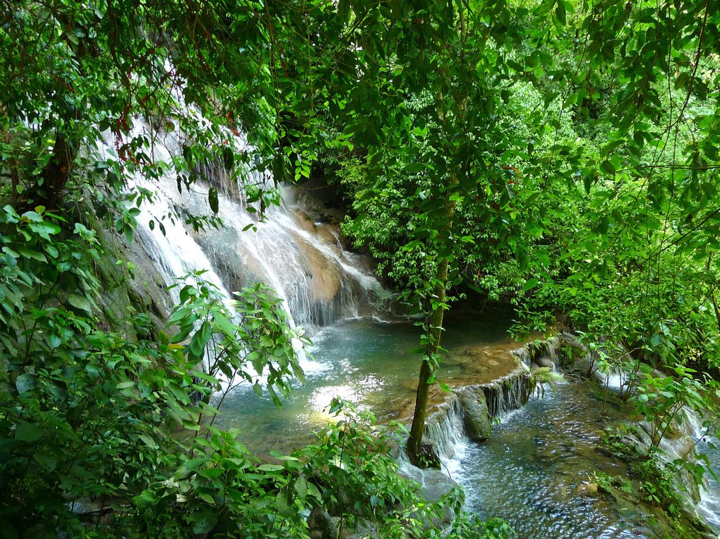 Album - 08- Palenque