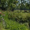 S’évader à vélo sur les chemins... du Marais Poitevin