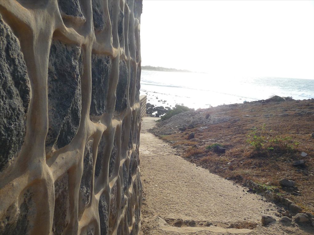 Deux îles proches de dakar!