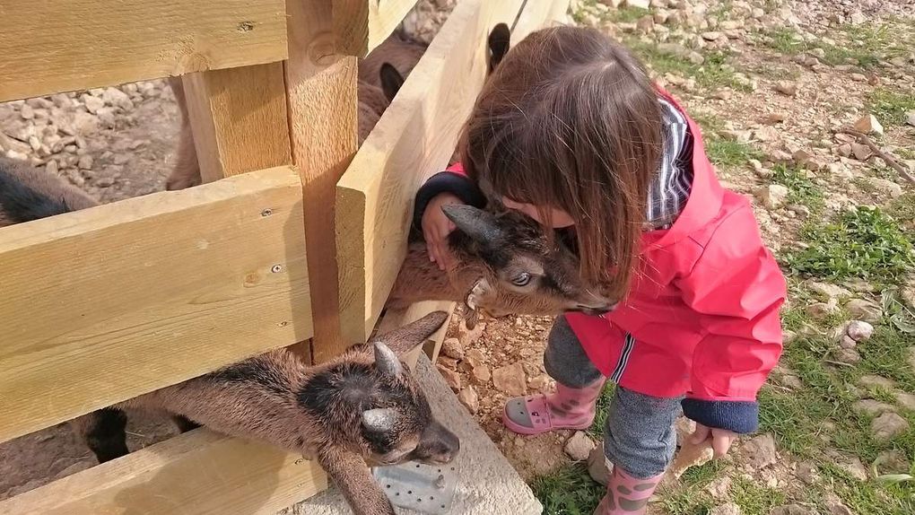 Visite à la Ferme de l'Hort