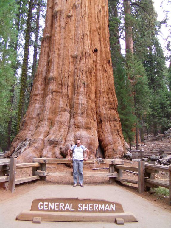 Sequoia National Park (USA)