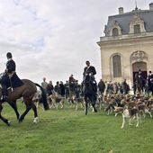 Femme tuée par des chiens en France: un patron de la gendarmerie quitte ses fonctions et déménage - MOINS de BIENS PLUS de LIENS