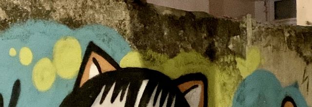 La grosse dame et le chat