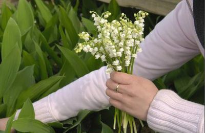 Attention au muguet ce 1er mai: plus de 2 euros, c'est de l'arnaque!