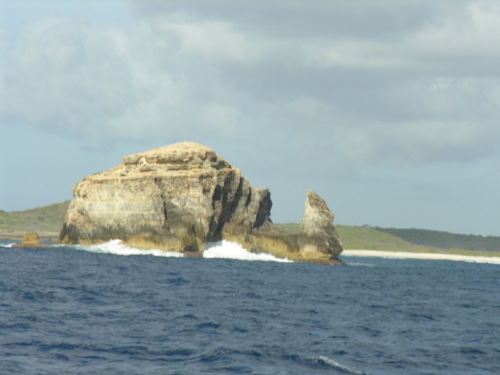 Des photos prises au hasard de promenades en Guadeloupe en février-mars 2009