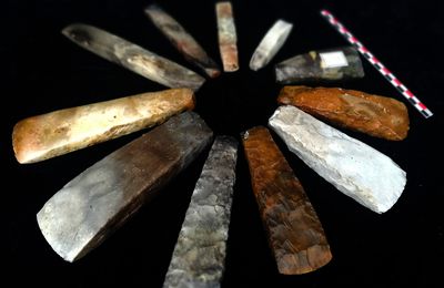 Ciseaux, gouges et haches destinées au travail du bois / Néolithique Scandinave.