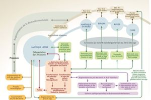 Enjeux vitaux au sein de la forêt amazonienne