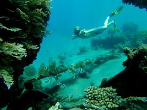 Après cette découverte aquatique, on ne voulait pas s'arrêter là dans notre lancée. On est donc parti à la découverte de l'épave d'un bateau japonais plus au Sud d'Amed. Située à 15mn de notre hôtel (environ 7km), on s'y rend en fin de matinée. On gare notre précieux à l'ombre, sans oublier de payer le parking évidemment. En même temps c'est difficile d'oublier avec les gardes qui viennent vous le demander à peine l'entrée passée !! Arrivée sur la plage de galet, on pose nos affaires entre 2 bateaux de pêches et on file à l'eau. On nage un peu et on arrive sur l'épave. C'est la première fois que j'en vois une, je n'ai donc pas d'élément de comparaison quand je vous en parle. Mais pour moi, c'était magique ! Bien qu'elle soit en très mauvais état après les années sous l'eau, la vie marine qu'on y découvre est incroyablement riche ! Je n'ai jamais vu autant d'espèces de poissons réunis au même endroit, il y en a des centaines tout autour de nous ! Bref on se régale à plonger au milieu d'eux en traversant de long en large l'épave ! Un vrai moment de bonheur dans le monde de Némo ! 