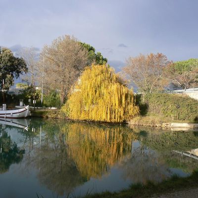 Port La Robine... Changement de Concession