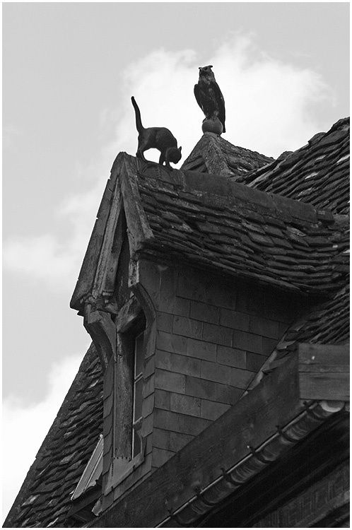 Des essais pas toujours réussis en noir et blanc, sépia et désaturation partielle...