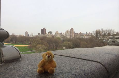 Belle vue du Belvédère de Central Park