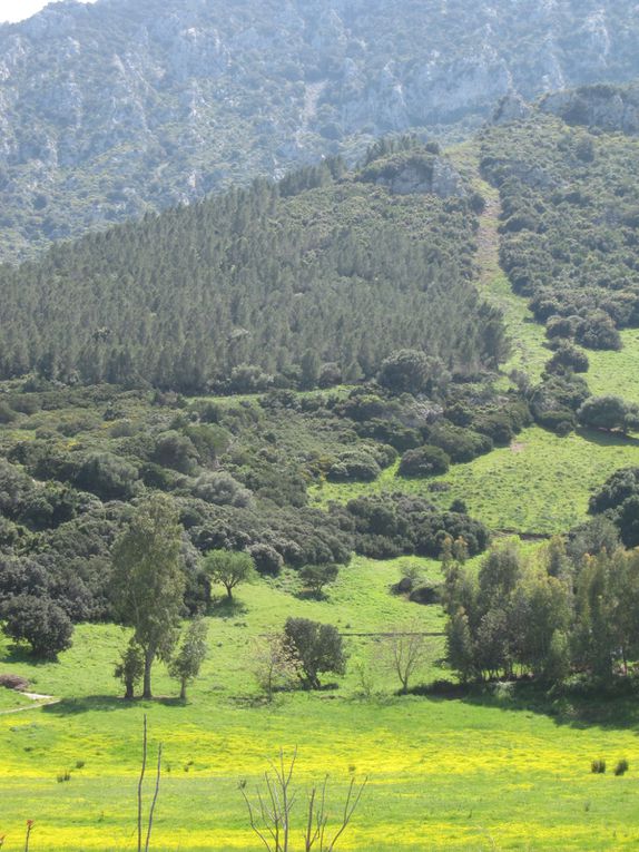 de Palau à Dorgali