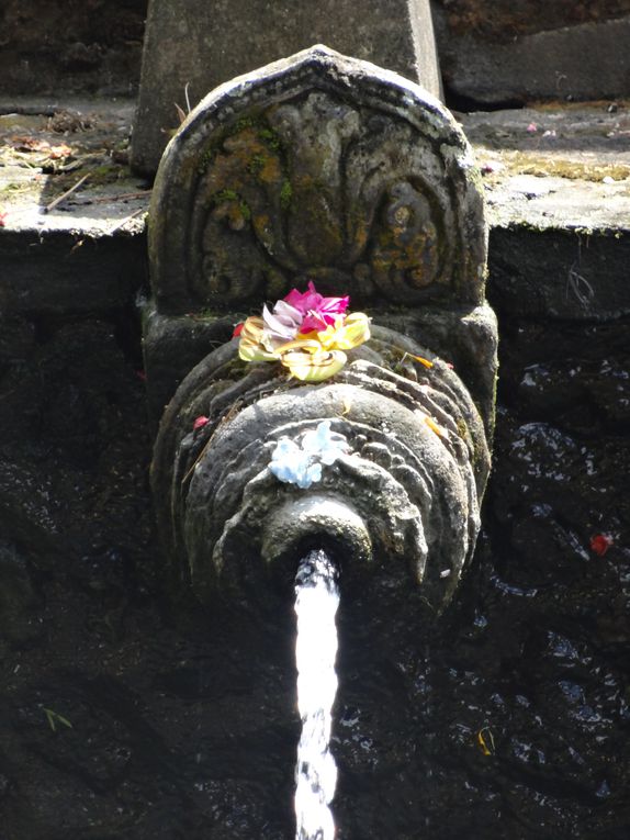 Album - 58.Alentours de Ubud (Bali-avril)