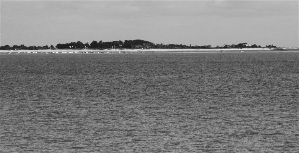 Rando Loix à Saint-Matin-de-Ré (Charente-Maritime 17) AA