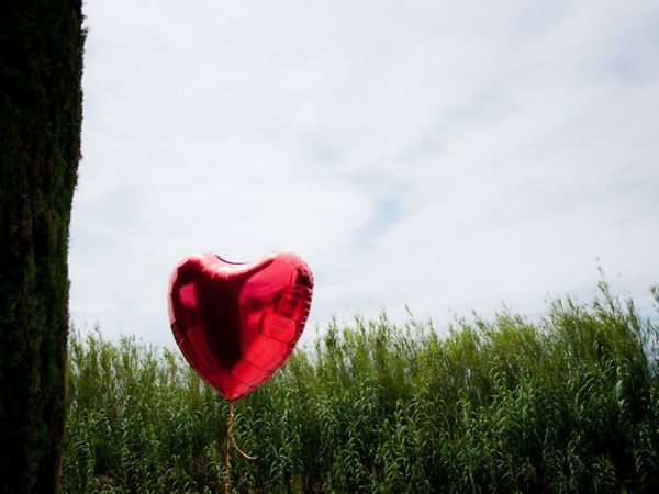 Odeur de l'herbe fraichement coupée