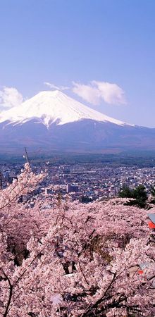 Masters Tour Sakura 2011