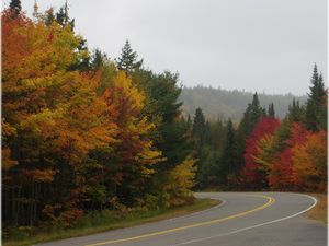 Souvenir de ce jour : 3eme et dernier jours au coeur de la Mauricie