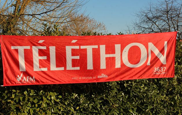 Téléthon  Pavie 2015 balade moto solidaire