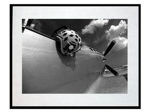 photo-avion-north-american-p-51D-mustang-AV2495 