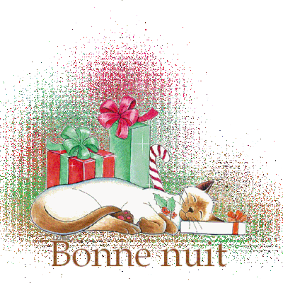 Bonne Nuit - Chat - Cadeaux - Noël - Gif scintillant - Gratuit