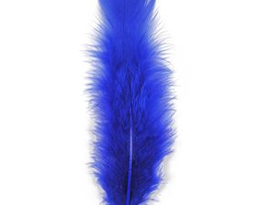 Les couleurs ne sont pas les mêmes. c'est pour donner une idée de la taille et de la texture des plumes. Pour les vraies couleurs: http://www.plumes.fr/19-plumes-par-espece/41-poule/plumes-de-poule-5-7-cm-turquoise.html