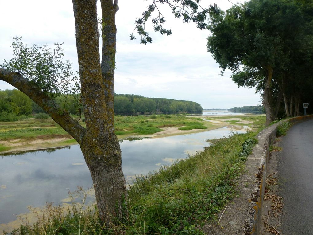 2023 Rando vélo sur les bords de Maine, de Loire et de Mayenne.