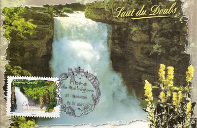 1er jour Pontarlier du timbre l'épicéa Franche-Comté " Flore de nos régions"
