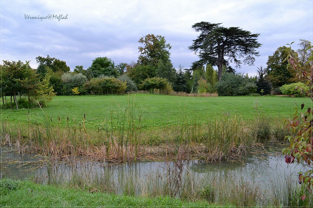 Château de Versailles et ses jardins