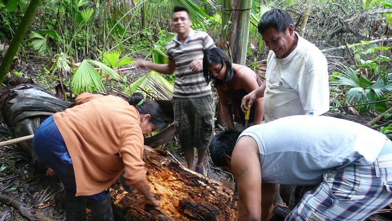 villages d artisants et sejour dans une famille indigene shuar