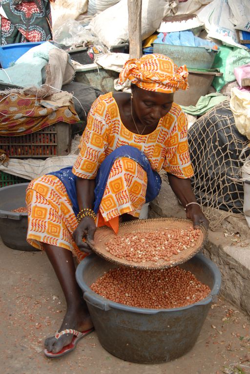 Album - Senegal