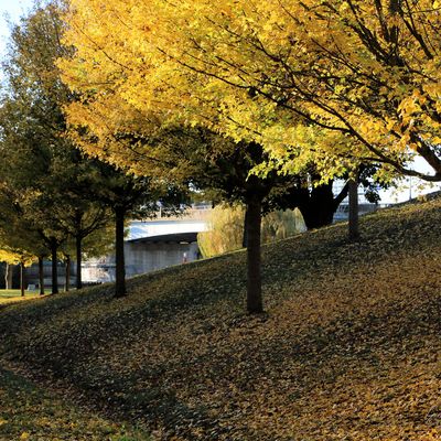 Balade en Novembre..