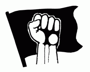 ★ Anarchisme révolutionnaire et organisation 3/3 