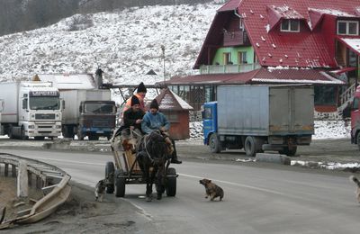 Bucherons "Moti" dans les Monts Apuseni Roumanie