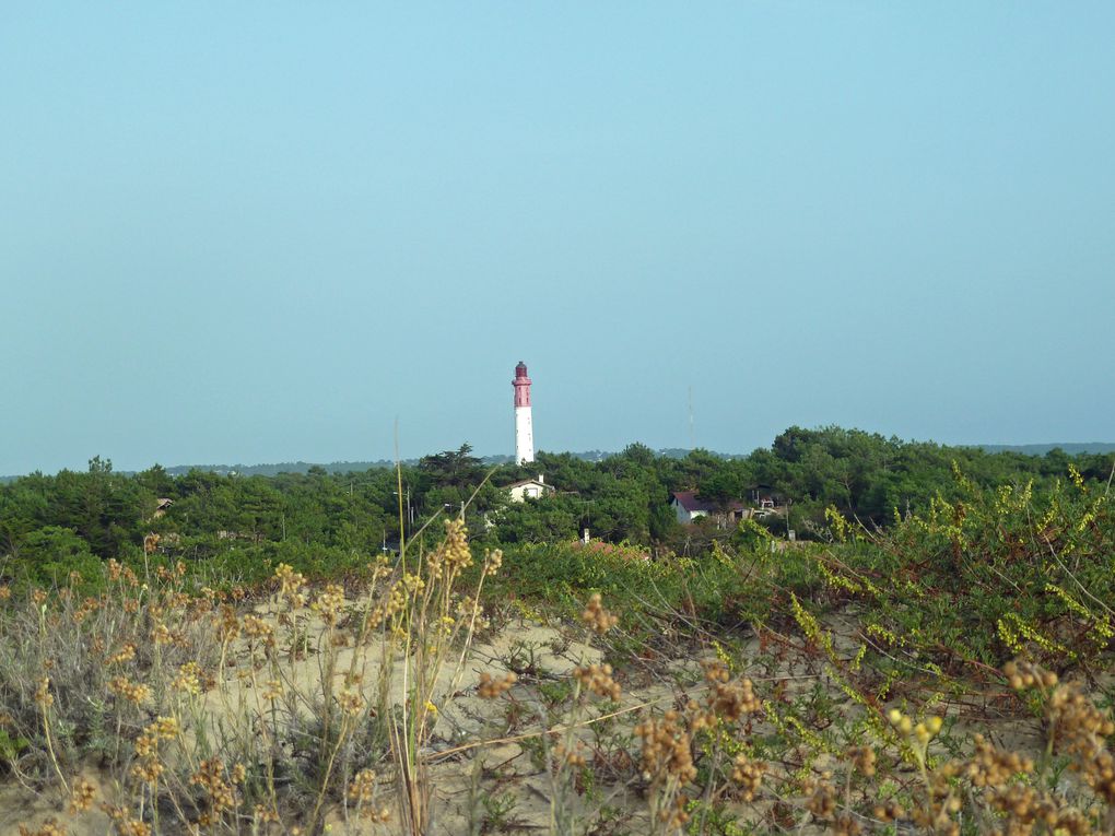 Album - 2012-07-ete-Cap-Ferret-Antibes