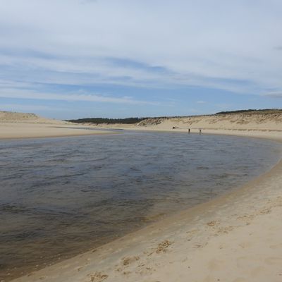 La réserve naturelle du Courant d'Huchet dans les Landes...